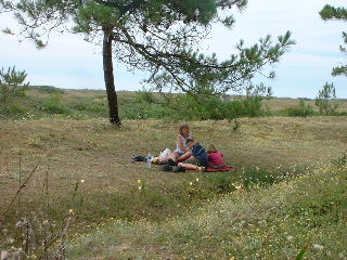picnic under the trees